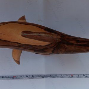 Set of 4 craft pieces made of wood, hammerhead shark and dolphin